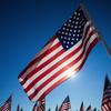 veterans-day-flags-shutter*100xx455-455-