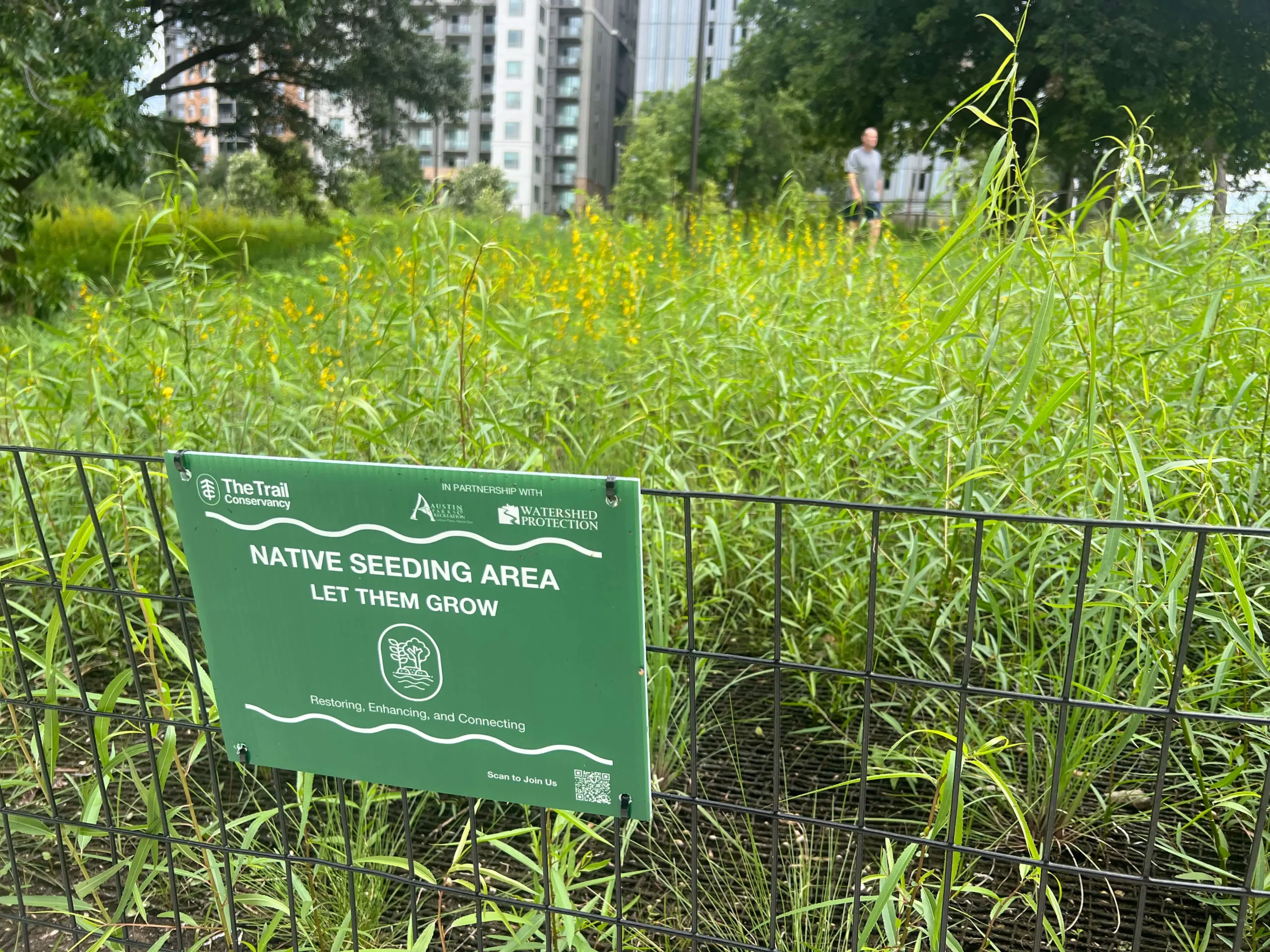 A sign on a fence of a grassy area educating visitors about conservation efforts around native seeding, with a QR Code for Trail users to scan and learn more.