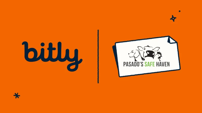 Read article: How Pasado’s Safe Haven Saves Hours On Reporting with Bitly Assist